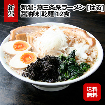 新潟・燕三条系ラーメン [はる] 醤油味乾麺 12食