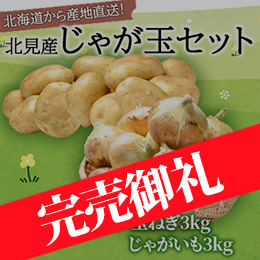 【8月上旬以降のお届け予定】北海道北見産 じゃが玉セット(サラダ玉ねぎ3kg＋じゃがいも3kg) 予約販売！
