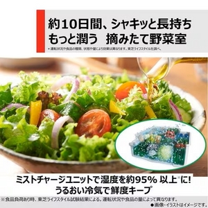 東芝 GR-W510FZS(TW) 6ドア冷凍冷蔵庫 (507L・フレンチドア) フロストホワイト
