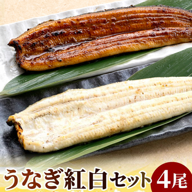 [大五うなぎ工房] 国産うなぎ紅白4尾セット 長蒲焼き2尾&白焼き2尾 gif-026
