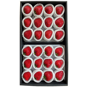 いちご様 いちご① いちごページ 椿 Buy ZX 8000 'Strawberry Latte