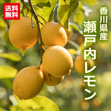 [香川県産]瀬戸内レモン