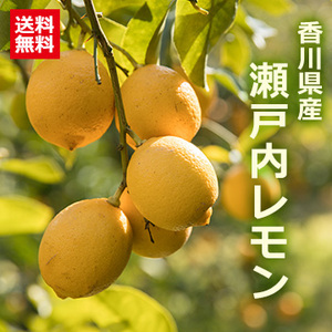 [香川県産]瀬戸内レモン