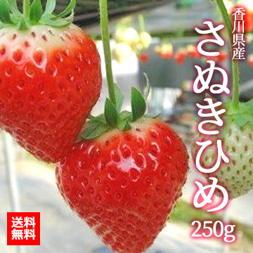 [香川県産]さぬきひめ 