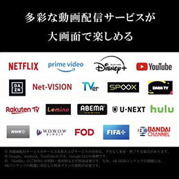 REGZA 75E350M 75V型 4K液晶テレビ BS・CS 4Kチューナー内蔵 Bluetooth・YouTube対応 