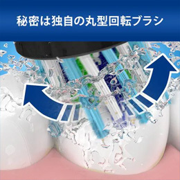 ブラウン D5055133XBK_RF ブラウン オーラルB PRO2 電動歯ブラシ 1本 ブラシヘッド 4本 ヤマダホールディングス専売モデル 黒