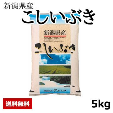 ［新潟県産］こしいぶき 令和6年度産