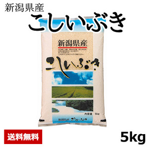 ［新潟県産］こしいぶき 令和6年度産