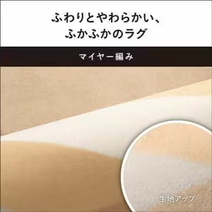 パナソニック DC-2NKC1-C 着せ替え カーペット セットタイプ ベージュ 2畳相当