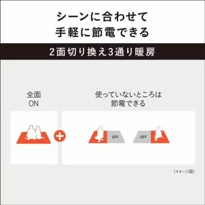 パナソニック DC-2NKC1-C 着せ替え カーペット セットタイプ ベージュ 2畳相当