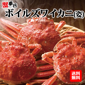 [蟹奉行]ボイルズワイカニ(姿)