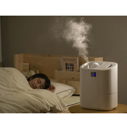 [アイリスオーヤマ] サーキュレーター加湿器 HCK-5520-W 286958