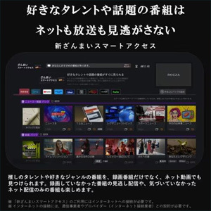 REGZA 24V35N(R) 24インチ ハイビジョン液晶テレビ レグザ V35Nシリーズ　★再調整品★