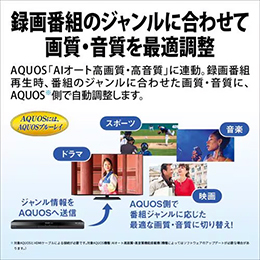 SHARP 2B-C10GW1 ブルーレイディスクレコーダー AQUOS ブルーレイ ダブルチューナー 1TB
