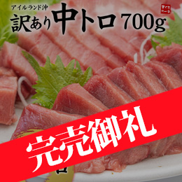 [まぐろ処一条] 天然本マグロ訳あり中トロ700g