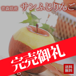 ■【12月上旬以降のお届け予定】青森県産 サンふじりんご 5kg