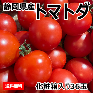 [一富士][静岡県産] トマトダ