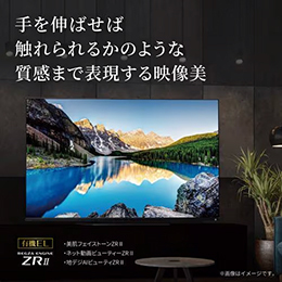 REGZA 55X8900L 4K有機ELテレビ レグザ X8900Lシリーズ 55V型