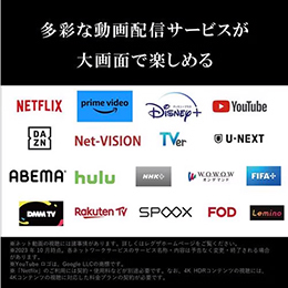 REGZA 100Z970M タイムシフトマシン 100インチ 4K MiniLED 液晶テレビ レグザ 