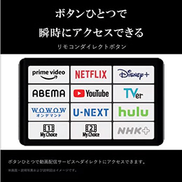 REGZA 100Z970M タイムシフトマシン 100インチ 4K MiniLED 液晶テレビ レグザ 