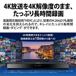SHARP 4B-C20GT3 AQUOS 4K ブルーレイディスクレコーダー