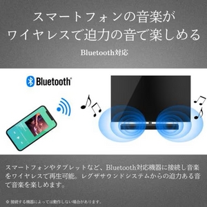REGZA TS216G レグザ サウンドバー ハイレゾ対応