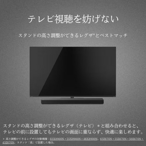 REGZA TS216G レグザ サウンドバー ハイレゾ対応