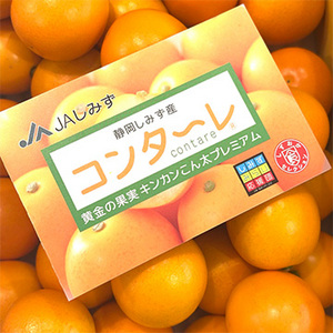 [一富士][静岡県産] コンターレ(金柑)