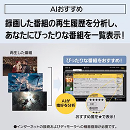 パナソニック DMR-4TS204 BDレコーダー ディーガ 2TB トリプルチューナー4K放送1番組録画対応