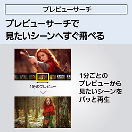パナソニック DMR-4TS204 BDレコーダー ディーガ 2TB トリプルチューナー4K放送1番組録画対応