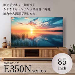【無料長期保証1+3年付き】 REGZA 85E350N 85V型 4K液晶テレビ レグザ E350Nシリーズ 