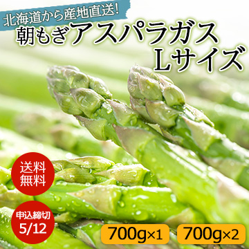 【5月下旬以降のお届け予定】北海道から産地直送！朝もぎアスパラガス Lサイズ