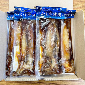佐渡のごっつお いか一本漬け 5本セット