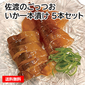 佐渡のごっつお いか一本漬け 5本セット