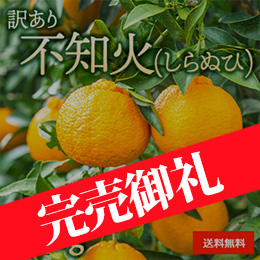 訳あり しらぬひ(自家用) 約5kg