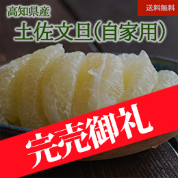 [高知県産] 土佐文旦 自家用