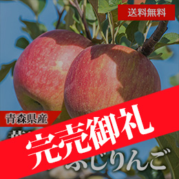 [青森県産] 葉とらずサンふじりんご