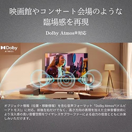 REGZA TS3100Q 3.1ch レグザサウンドシステム ワイヤレスサブウーファー付属