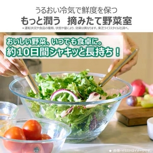 【無料長期保証1+5年付き】東芝 GR-Y600XFS(TH) 6ドア冷凍冷蔵庫 (595L・フレンチドア) フロストグレージュ