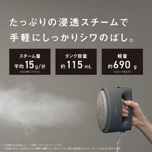 パナソニック NI-FS60B-G 衣類スチーマー ハンガーショット機能付 セージグリーン