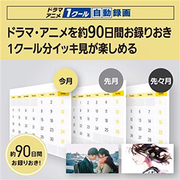 パナソニック DMR-2W203 ブルーレイディスクレコーダー ディーガ 2TB 2番組同時録画 