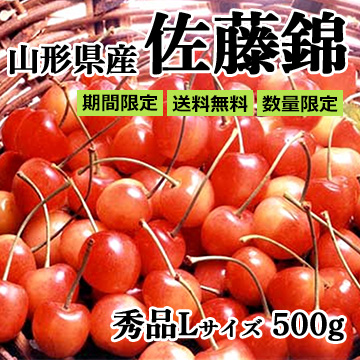 ■山形県産 さくらんぼ「佐藤錦」500g(500g×1) バラパック詰め 秀品L