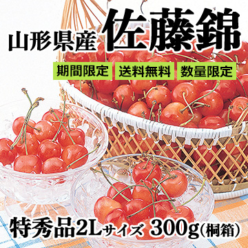 ■山形県産 さくらんぼ「佐藤錦」300g(300g×1) 並び 桐箱 特秀品 2L