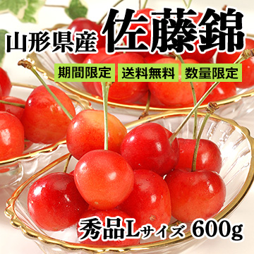 ■山形県産 さくらんぼ「佐藤錦」600g(300g×2) バラパック詰め 秀品L