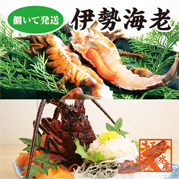 [まるか水産] 捌いて発送 国産天然 伊勢海老 標準サイズ 2尾入 500g ise-103-a