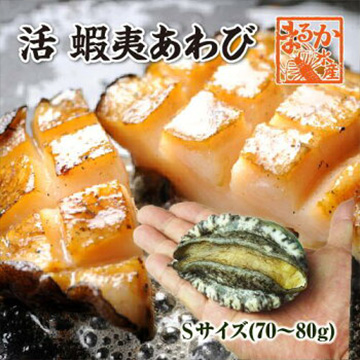[まるか水産] 活 蝦夷あわび 70〜80g Sサイズ 10枚 awabi-078-10