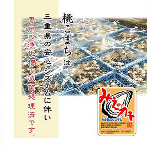 [まるか水産] 【牡蠣のカンカン焼き】冷凍 殻付き牡蠣/桃こまち 20個 kaki-100-f