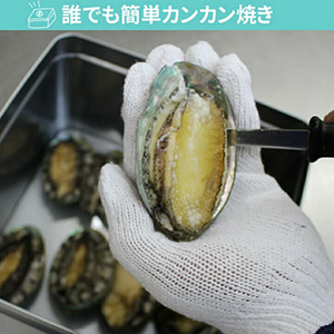 [まるか水産] 豪華なあわびでカンカン焼き 8個 awabi-k-8