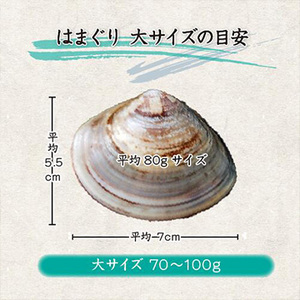[まるか水産] 冷凍 はまぐり 大サイズ(10〜15個)1kg分 hama-l-200-f