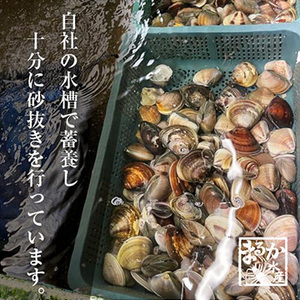 [まるか水産] 冷凍 はまぐり 大サイズ(10〜15個)1kg分 hama-l-200-f